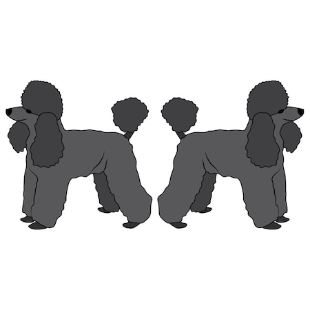 Signmission Toy Poodle Dog Decal, Dog Lover Decor Vinyl Sticker D-24-Toy Poodle